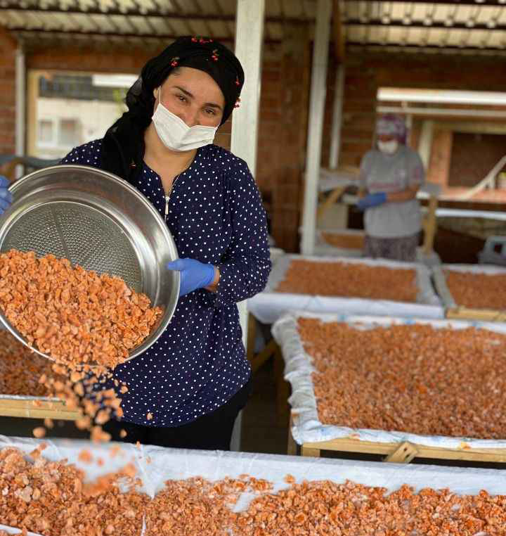 Tek Başına Başladı, 20 Kadına Gelir Kapısı Oldu