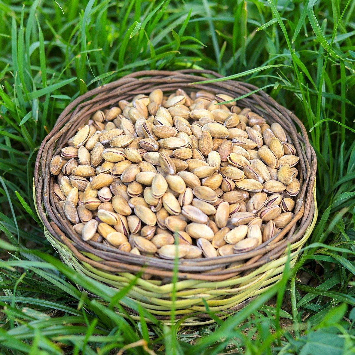 Antep Fıstığı ( 300 Gram )