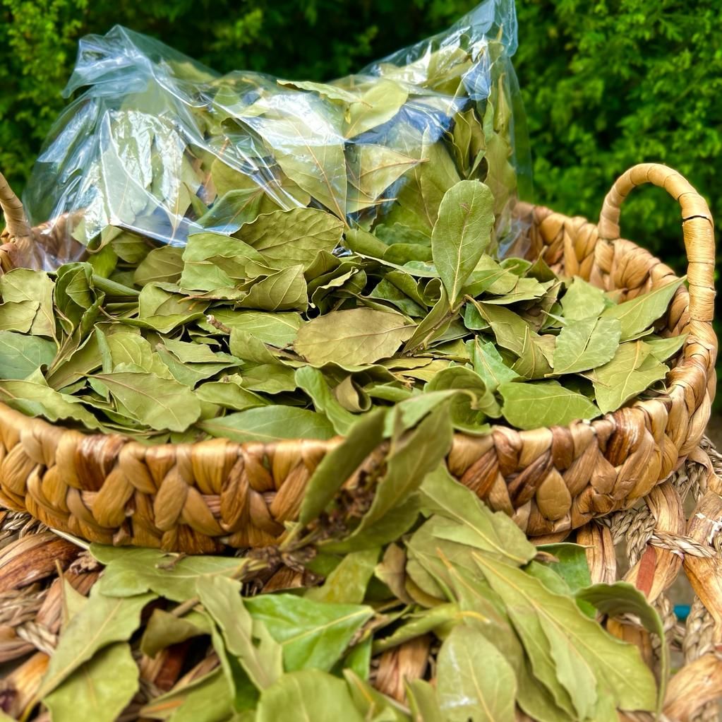 Defne Yaprağı ( 50 Gram )