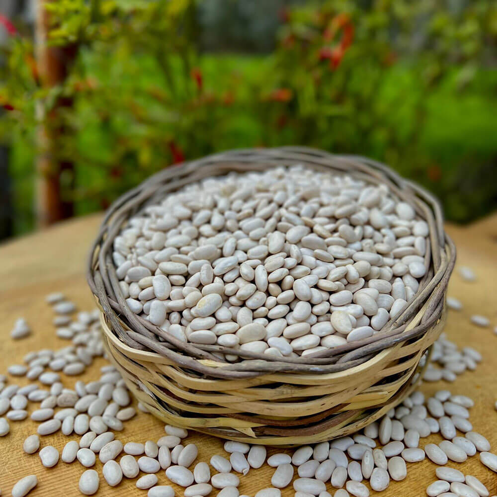 Kuru Fasulye
