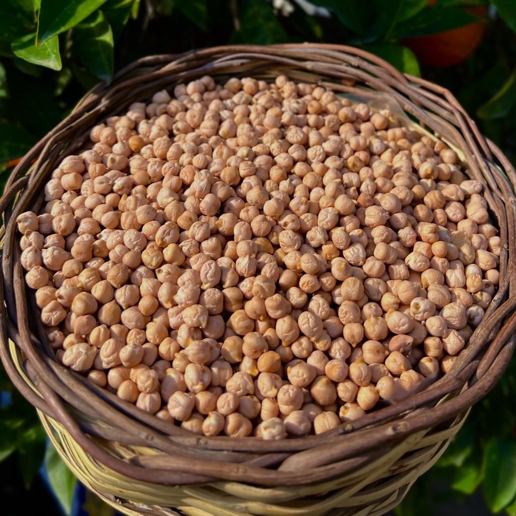 Nohut ( 1 Kg. )