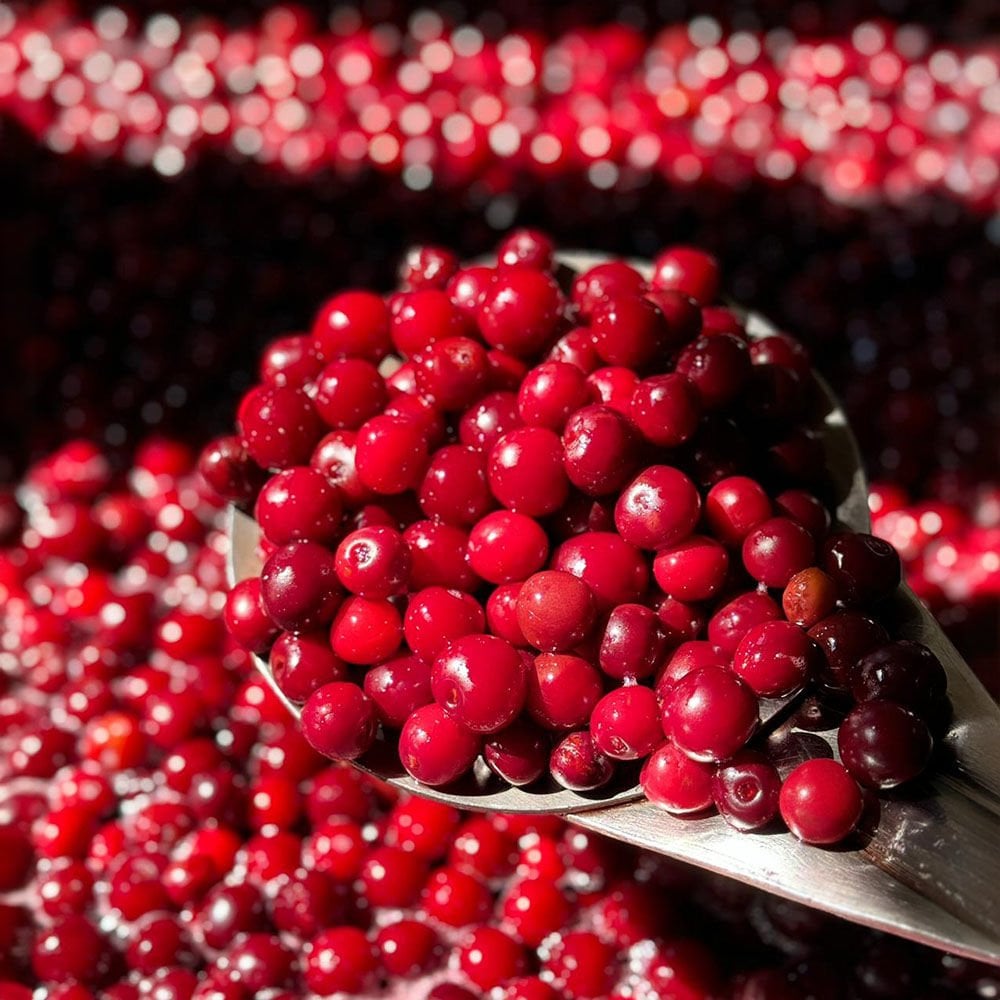 Vişne Kompostosu ( 850 Gr. Konsantre )