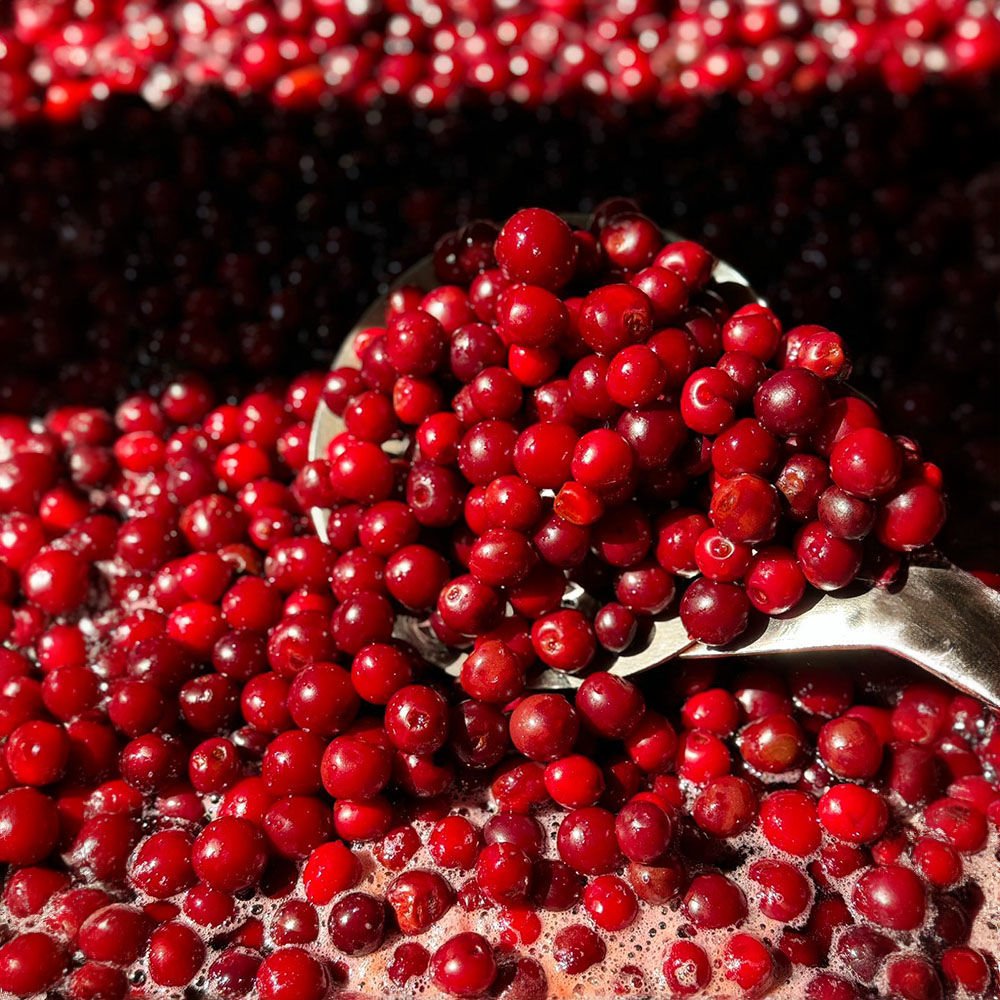 Vişne Kompostosu ( 850 Gr. Konsantre )