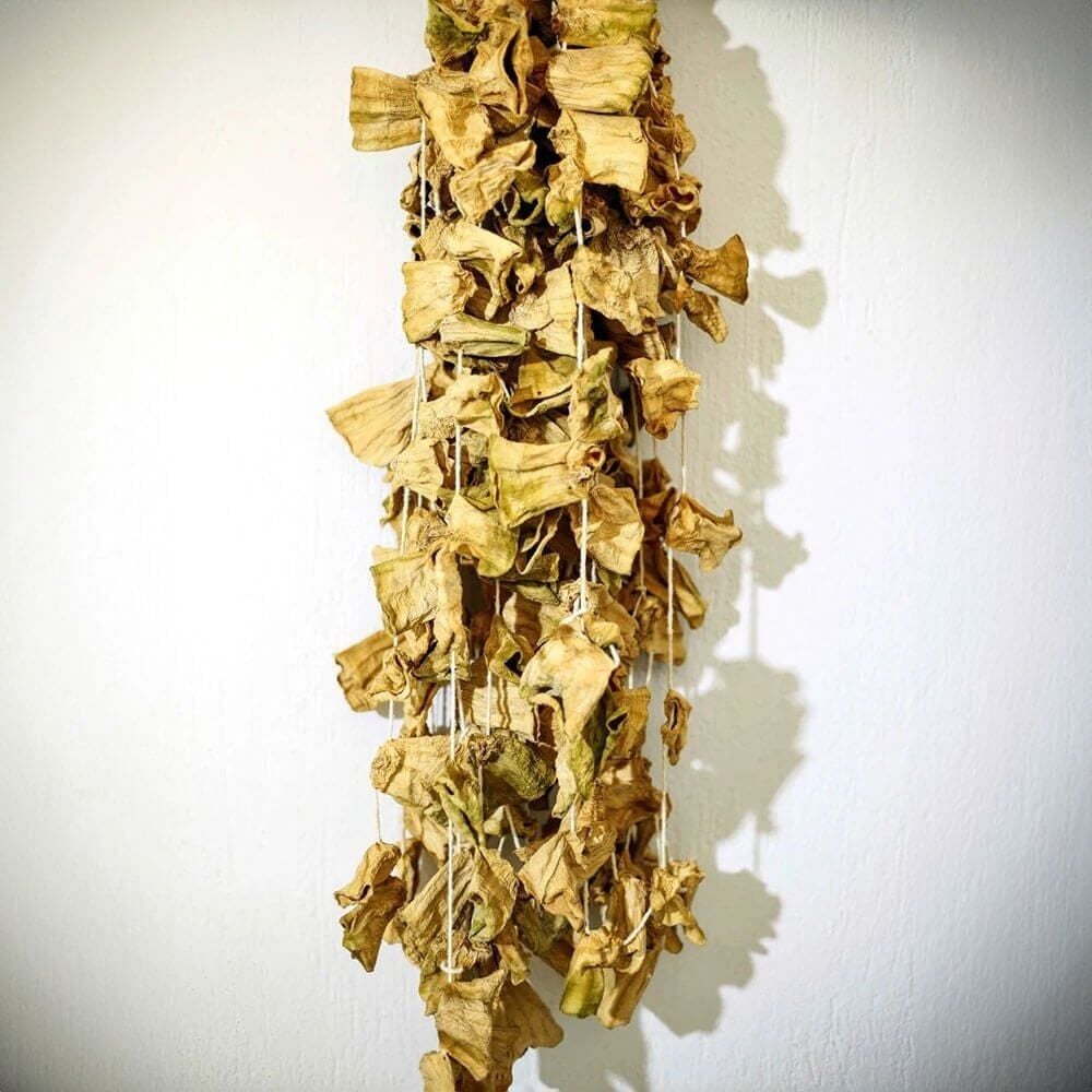 1 Dizi Dolmalık Kabak