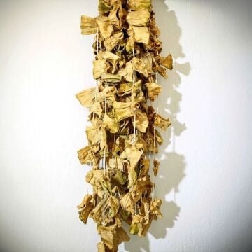 1 Dizi Dolmalık Kabak