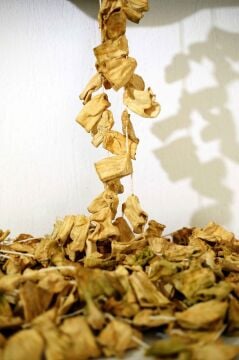 1 Dizi Dolmalık Kabak