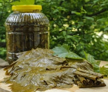 Salamura Yaprak 1 Kg