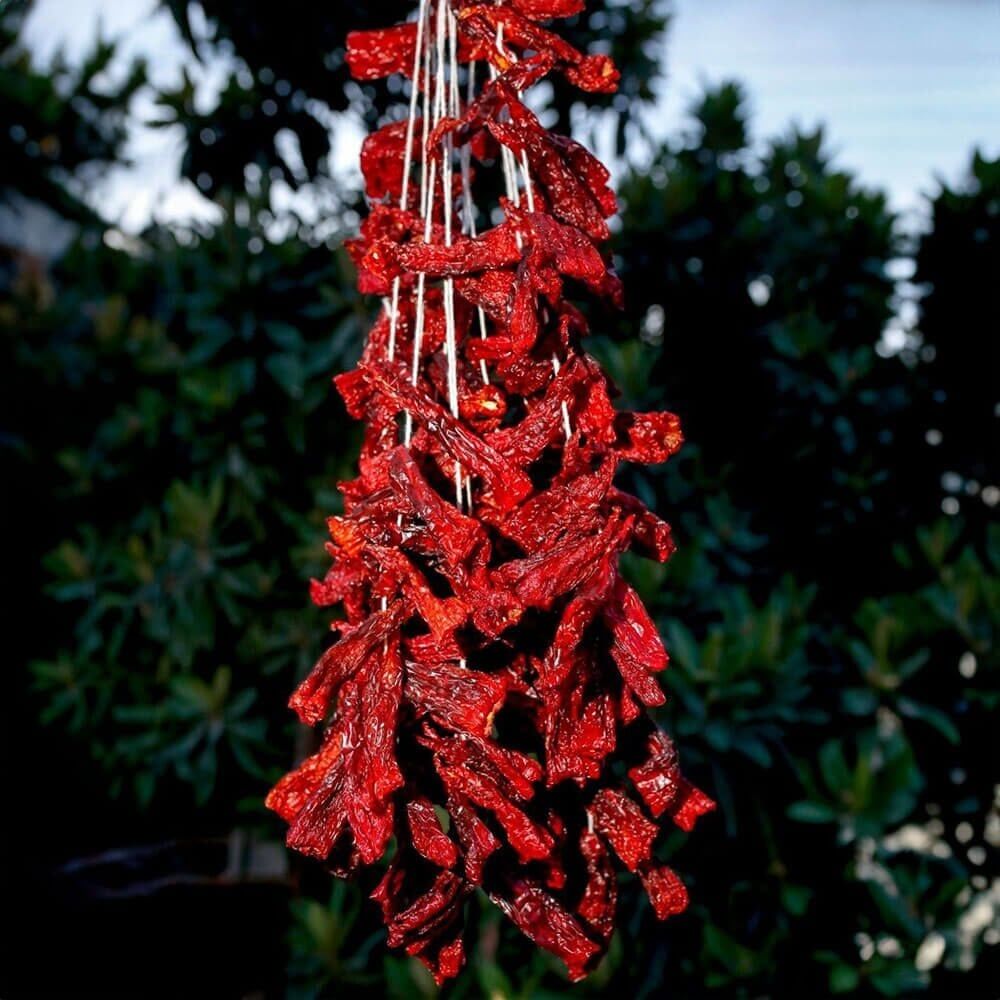 1 Dizi Dolmalık Kuru Kapya Biber