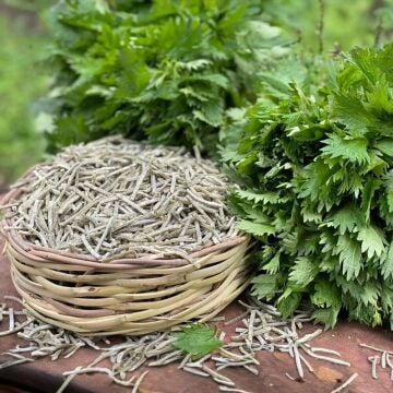 Isırgan Otlu Erişte ( 500 Gram )
