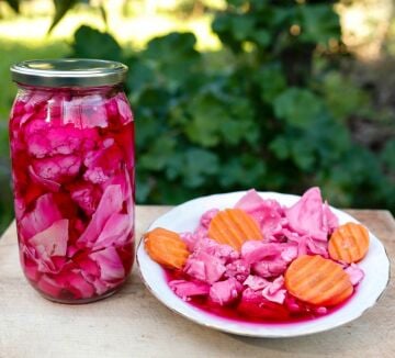 Karışık Mor Lahana Turşusu