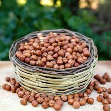 Fındık ( 300 Gram )