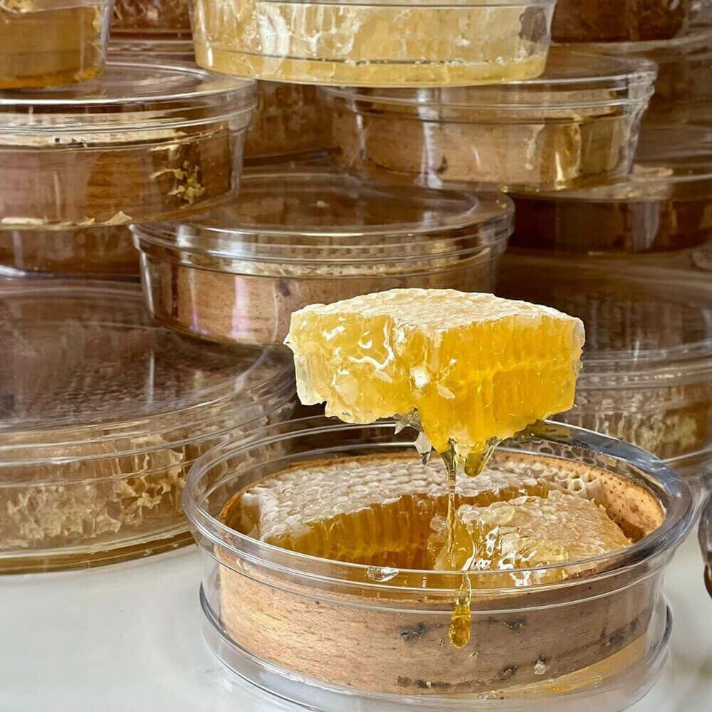 Kara Kovan Petek Balı