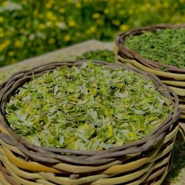 Pırasa Kurusu ( 100 Gr. )