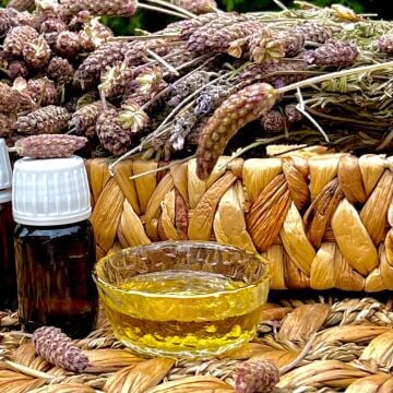Karabaş Otu Yağı ( 20 Ml )