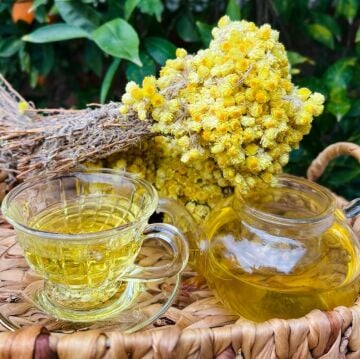 Altın Otu ( 1 Bağ )