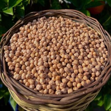 Nohut ( 1 Kg )