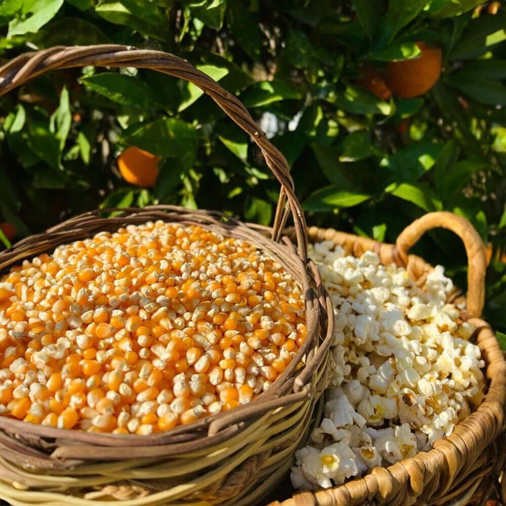 Patlamış Mısır ( 1 Kg )