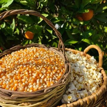 Patlamış Mısır ( 1 Kg )