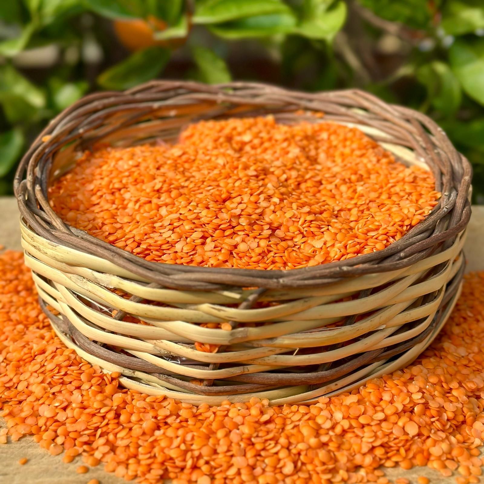 Turuncu Mercimek ( 1 Kg )