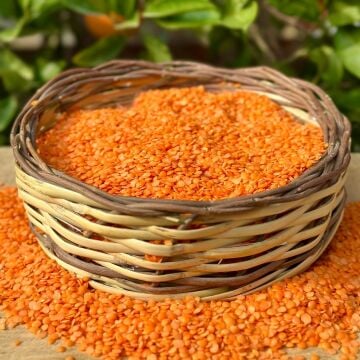 Turuncu Mercimek ( 1 Kg )