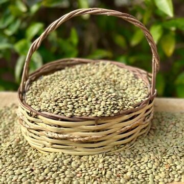 Yeşil Mercimek ( 1 Kg )