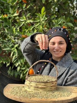 Yeşil Mercimek ( 1 Kg )