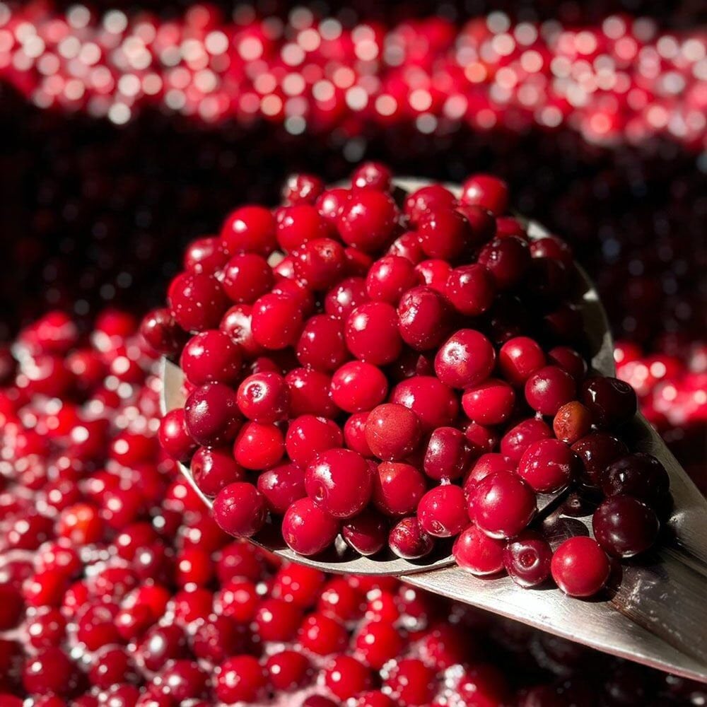 Vişne Kompostosu 850 Gr. ( Konsantre )